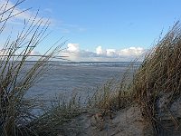 foto 139